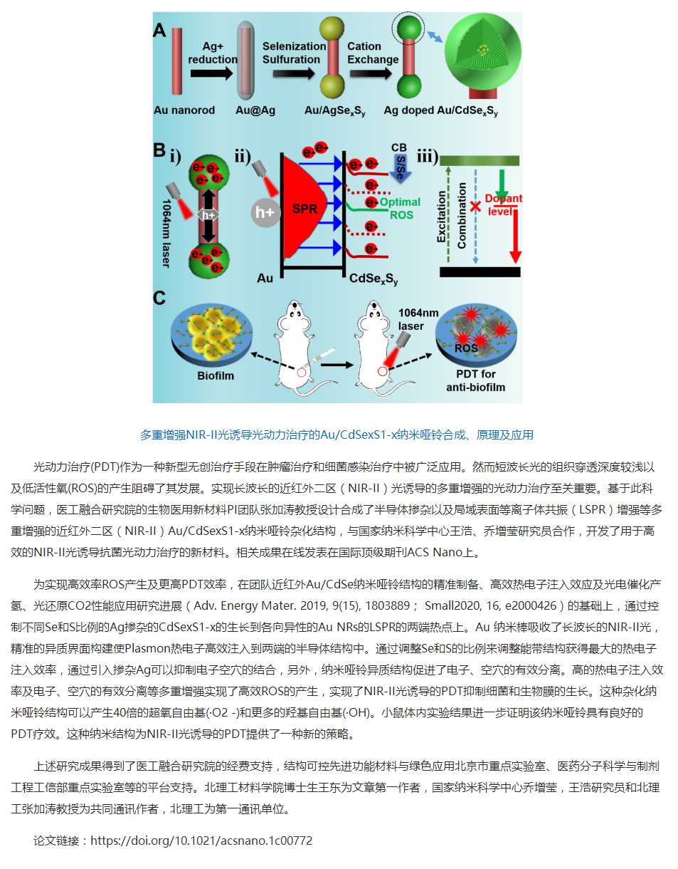 北理工在等离子体掺杂半导体纳米晶增强光动力治疗取得进展.png